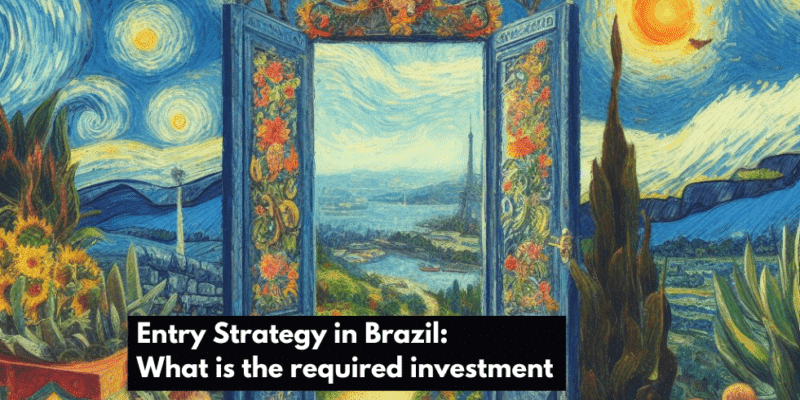 Entry Strategy in Brazil What is the required investment